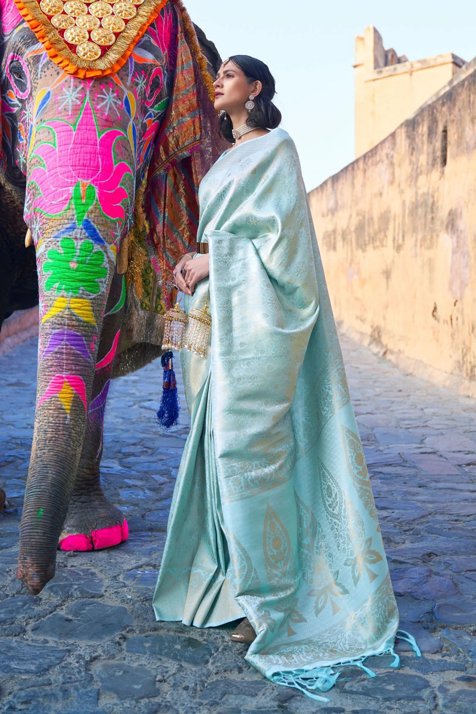 Sky Blue Zari Woven Silk Saree